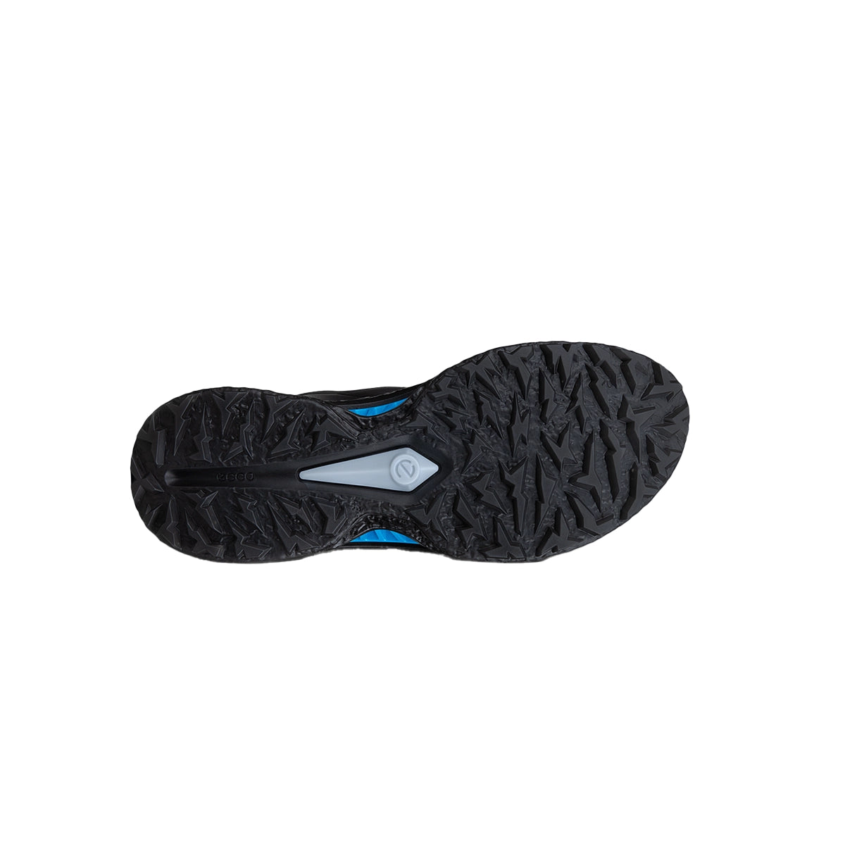 ECCO BIOM C5 BOA Herren black - City Golf Shop by Andrej Kübli