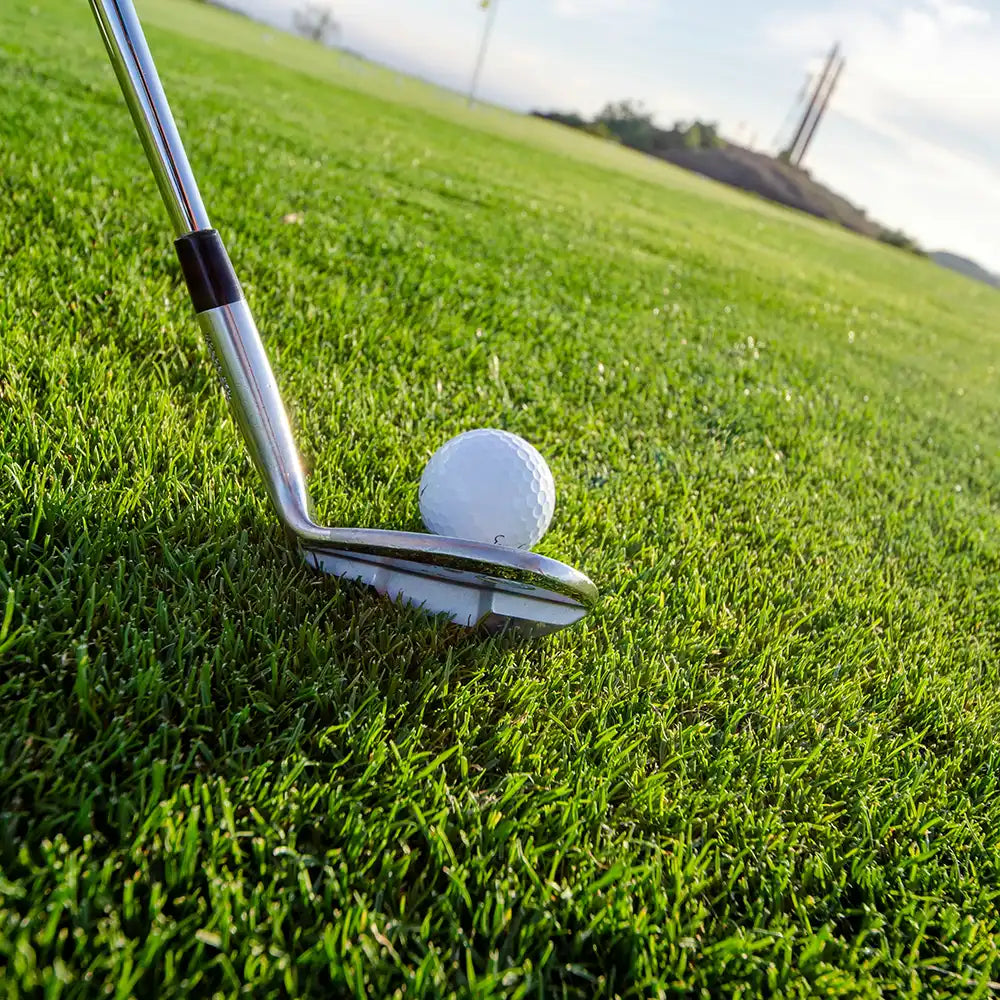 Golfschläger am Golfball
