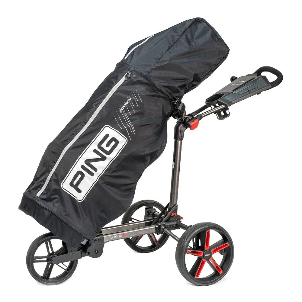 Ping Raincover